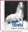 13-THOWRA CABALLO SALVAJE.jpg